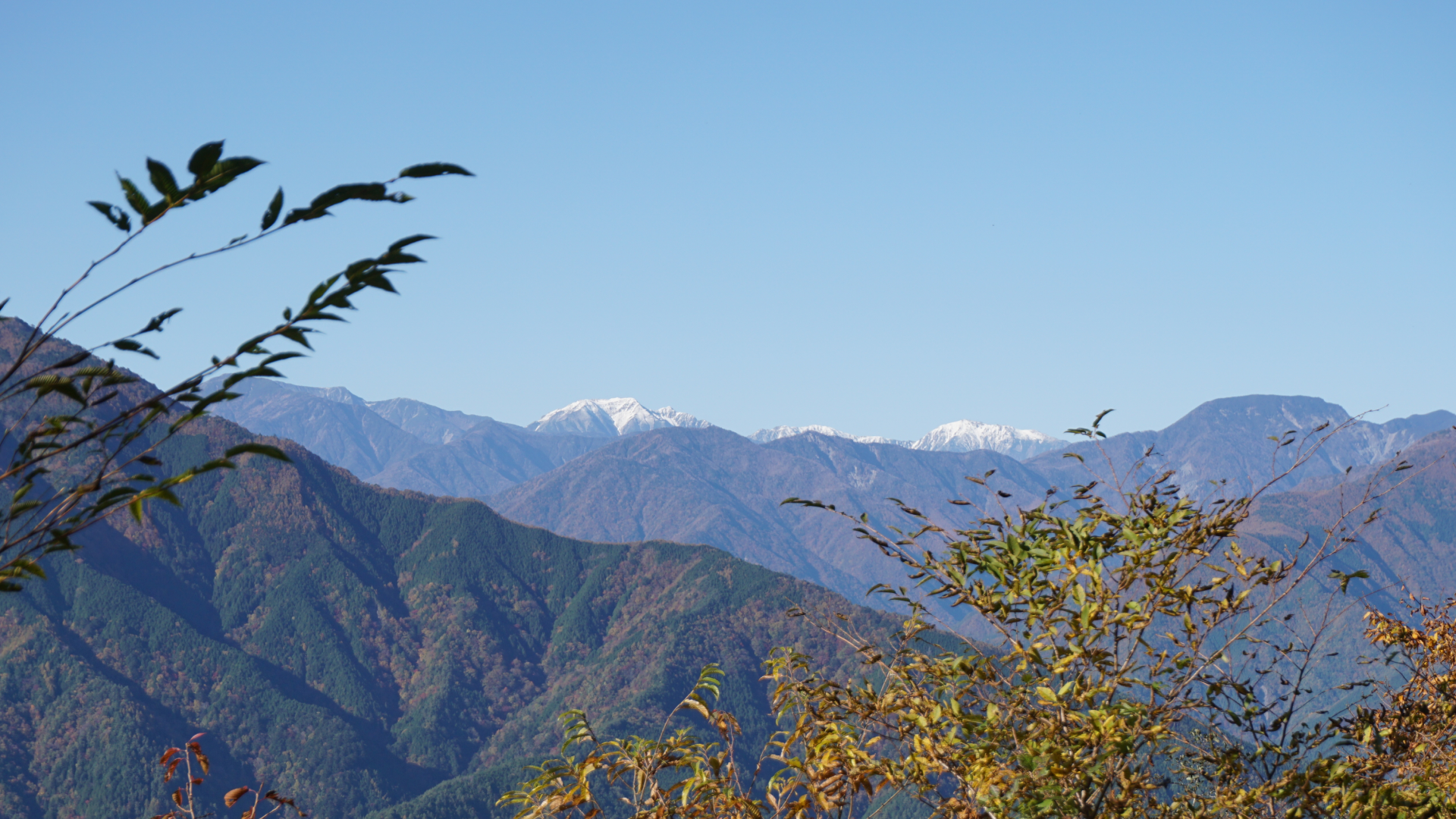 静岡の景色