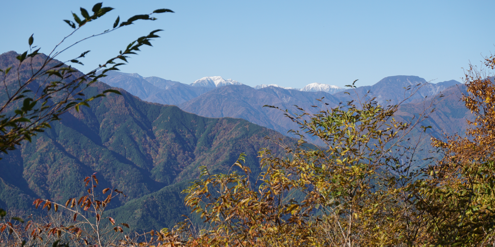 静岡の風景